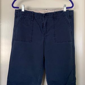 Anthropologie Paperboy size 14 navy pants